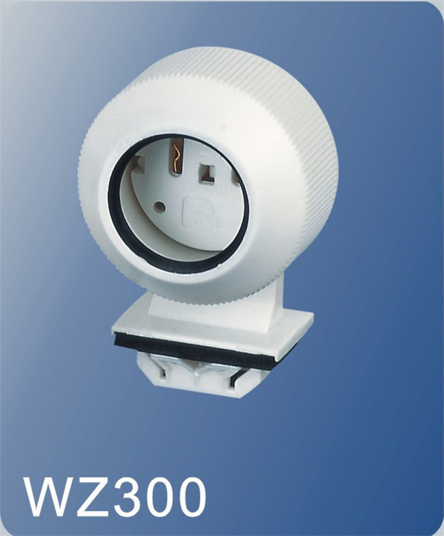 WZ300