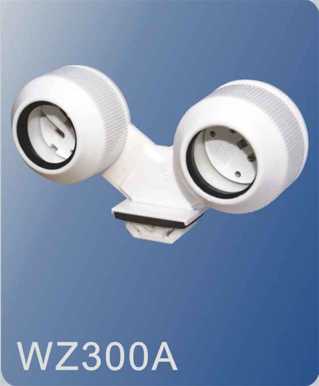 WZ300A