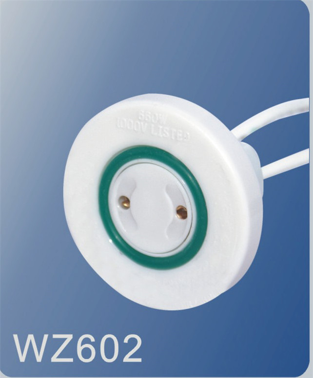 WZ602