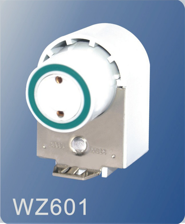 WZ601