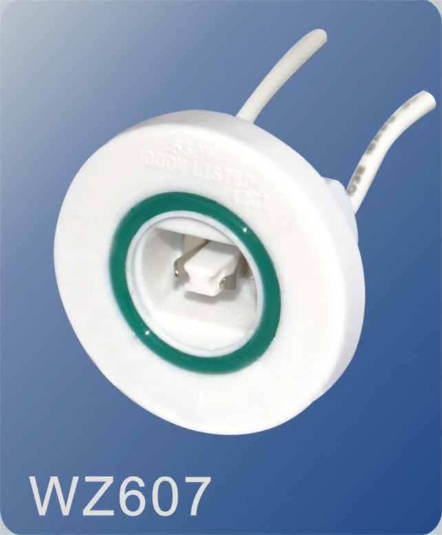 WZ607