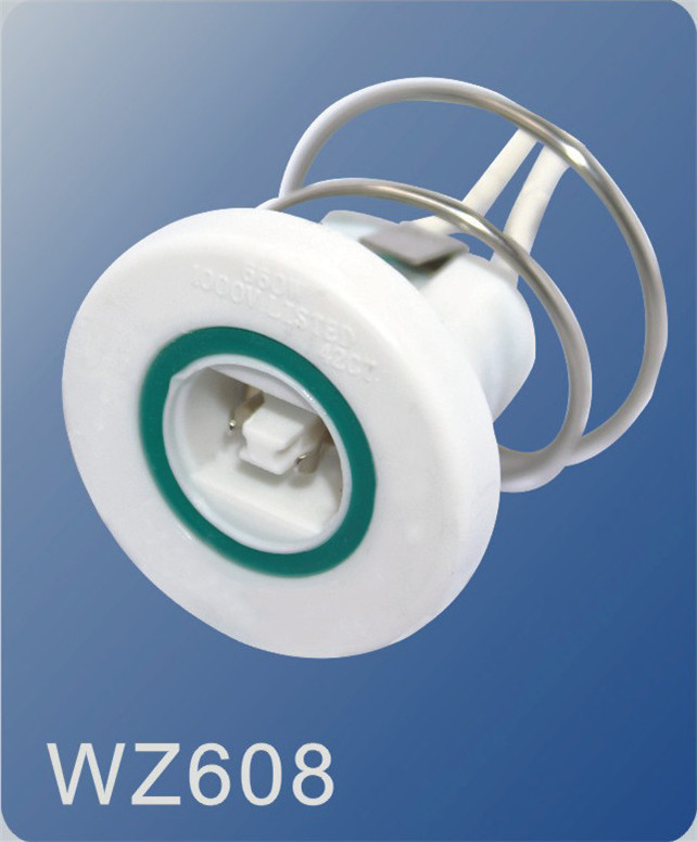 WZ608